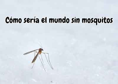 Cómo Sería el Mundo Sin Mosquitos