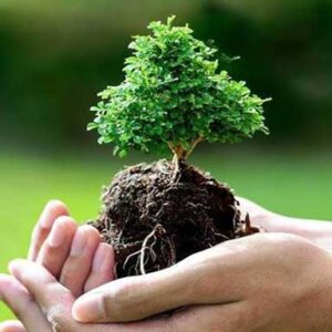 5 acciones para cuidar el medio ambiente