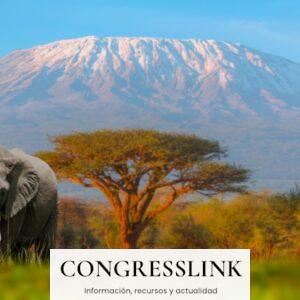 Cómo es una experiencia en un safari de Tanzania?