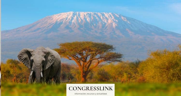 Cómo es una experiencia en un safari de Tanzania?