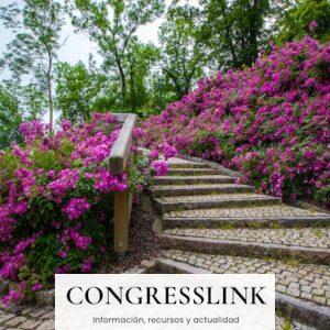 Mejores empresas de paisajismo y jardinería en Tenerife: cómo elegir y a quién pedir presupuesto