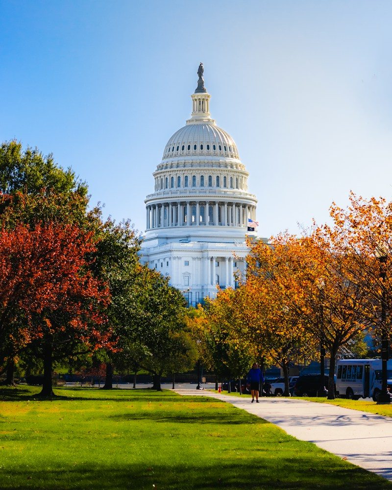 Cúpula del Capitolio de Washington entre árboles de otoño